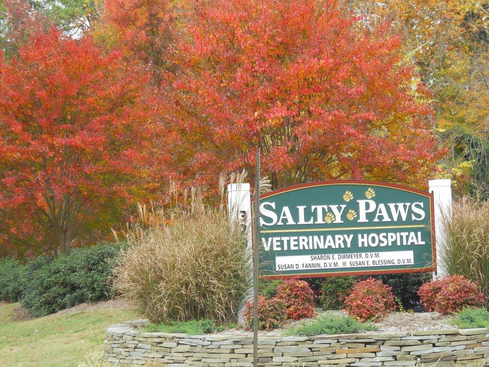 salty paws vet clinic