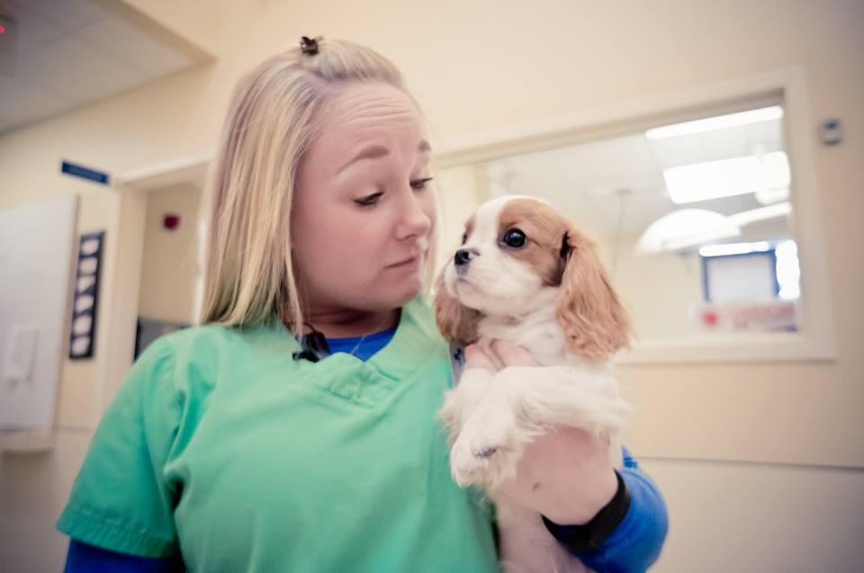 Pet Friendly West Chester Veterinary Medical Center