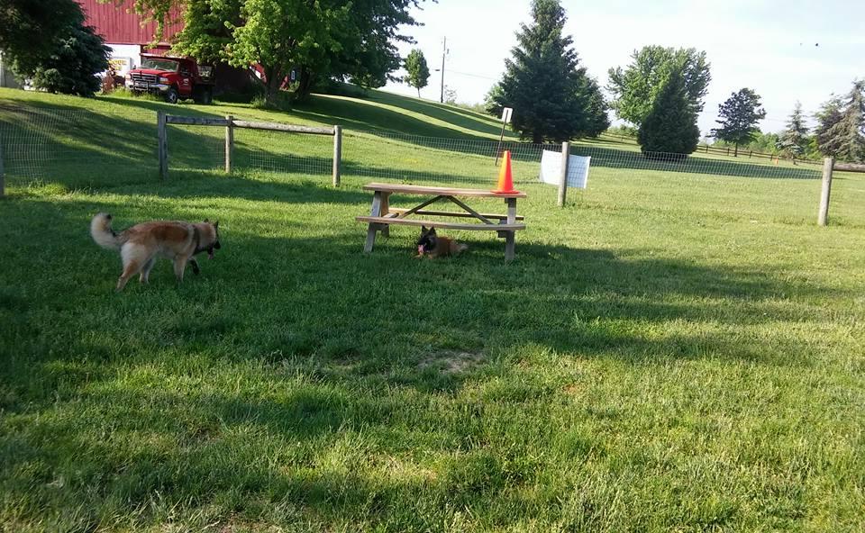 The Dog House at the Conneaut Lake Bark Park