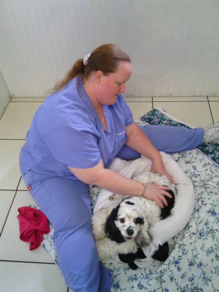 Pensacola Pet Resort Too