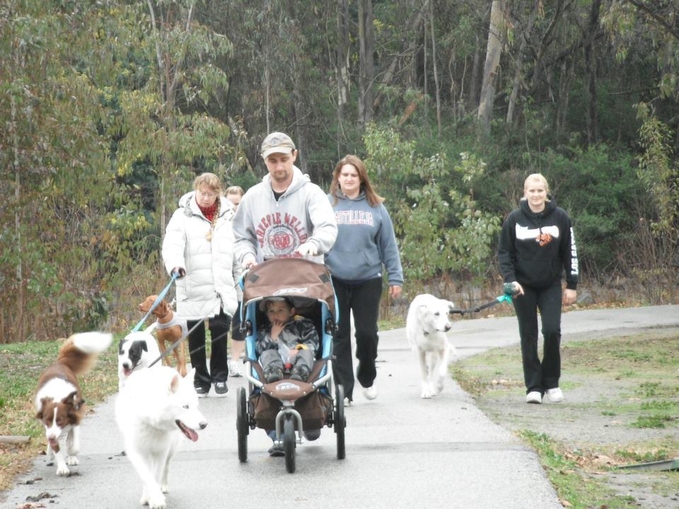 Directory of Doggie Daycare Boarding in Santa Cruz CA BringFido