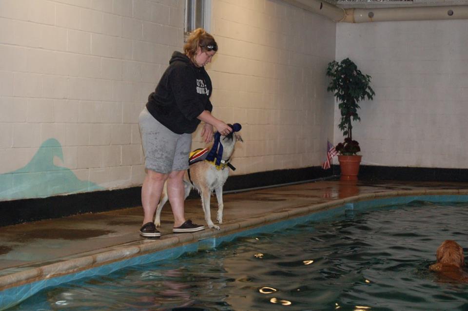 therapy pets unlimited