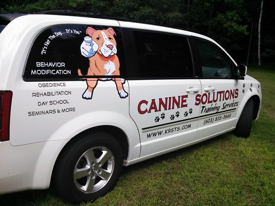 canine solutions training services