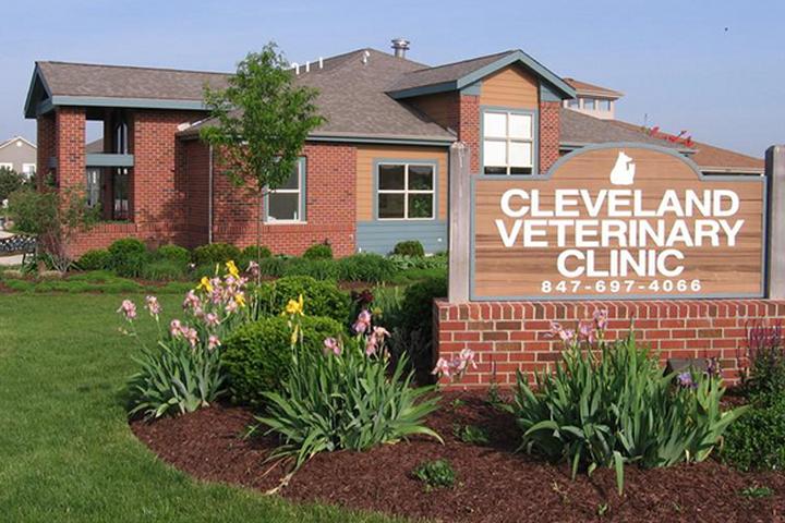 Pet Friendly Cleveland Veterinary Clinic