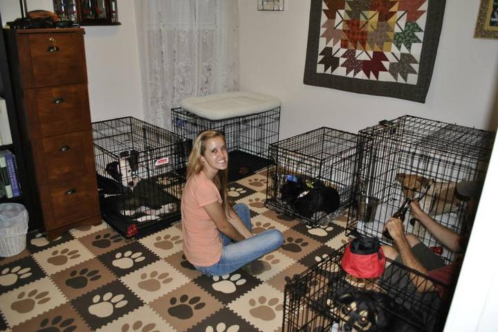Pet Friendly DogSmith Pet Care & Dog Training Gulf Coast