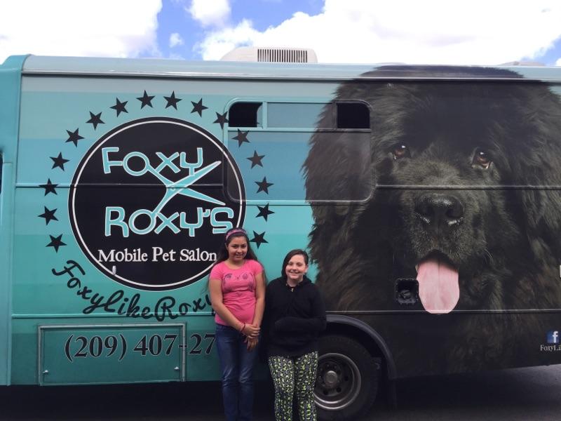 foxy roxy mobile dog grooming