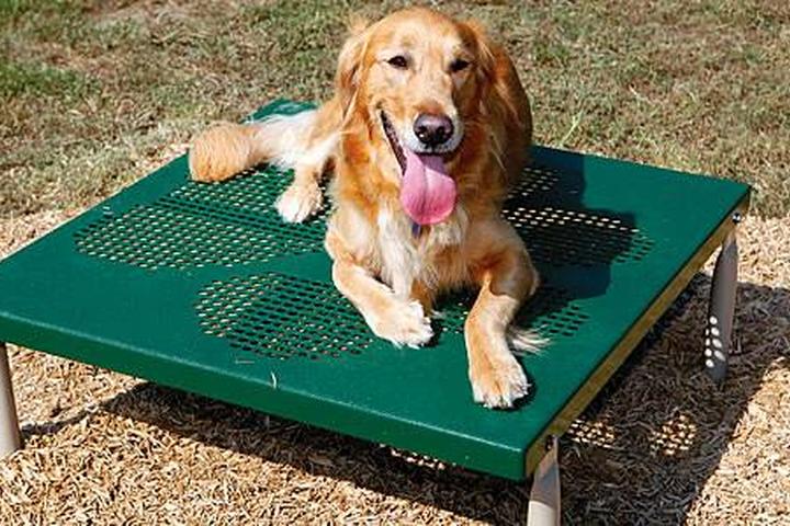 Pet Friendly  Pet and Playground Products