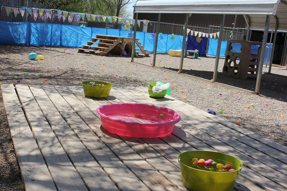 Central Park Dog Day Care