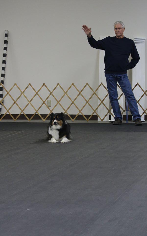 Pet Friendly Muncie Obedience Training Club, Inc.