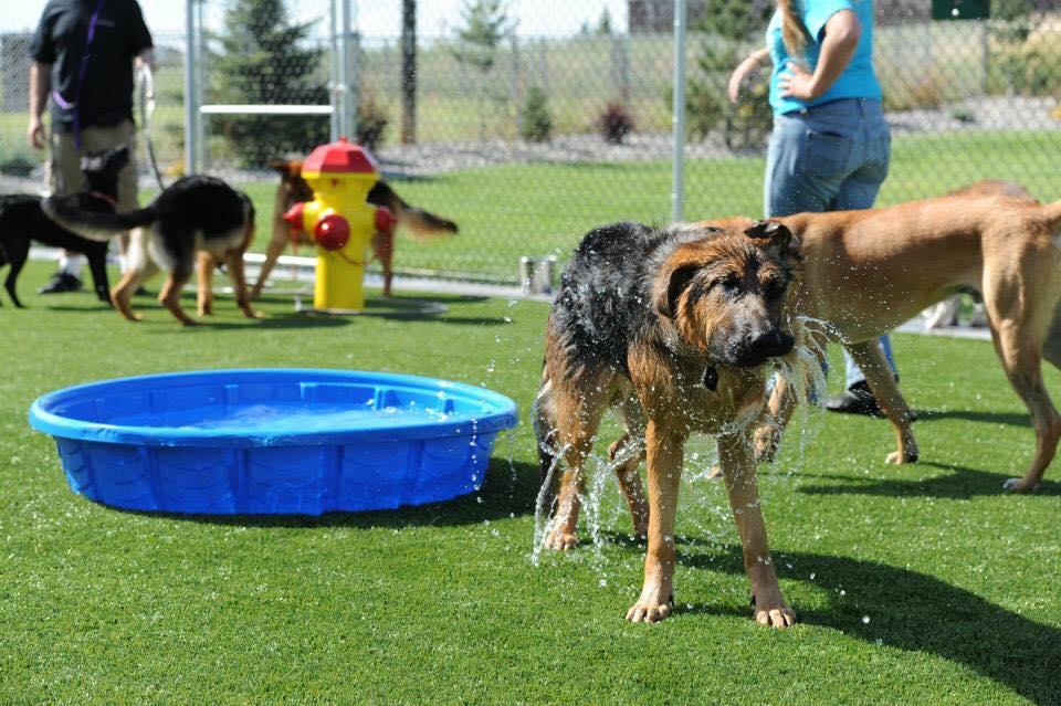 K9 Country Club Pet Center