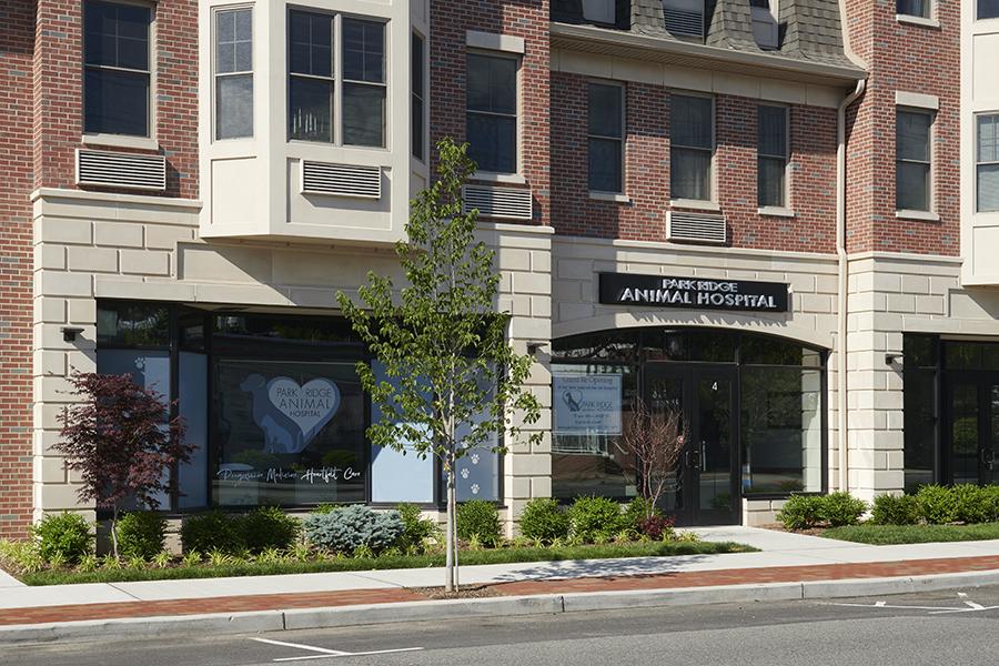 Pet Friendly Park Ridge Animal Hospital