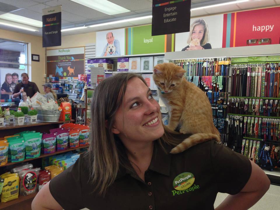Marysville 2025 pet store