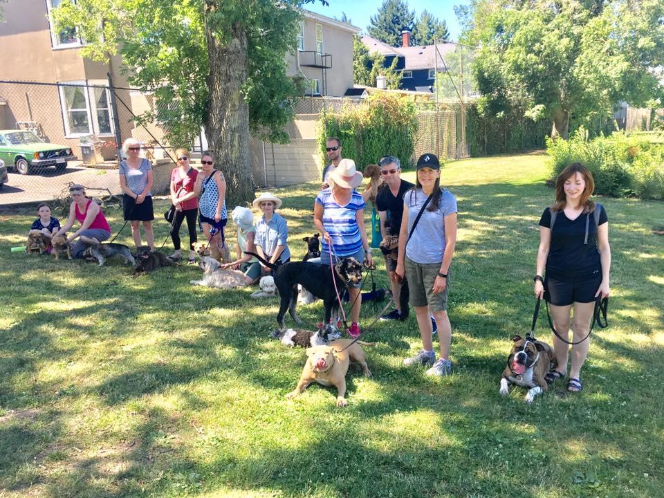Thumbs up dog sales training