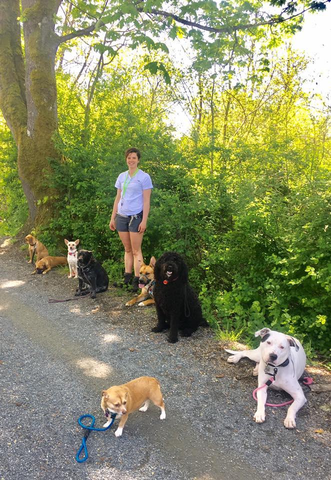 Thumbs up dog training hotsell