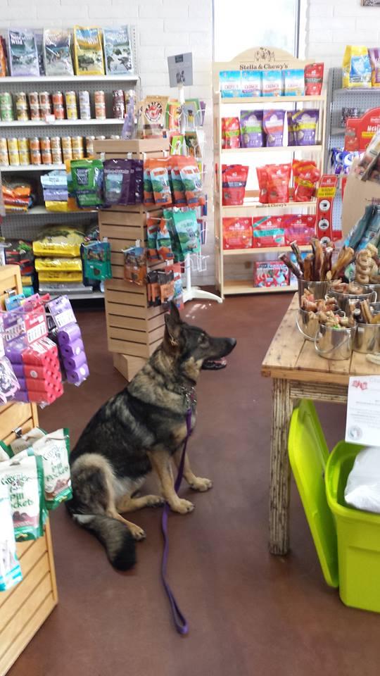 Kodis natural pet deals