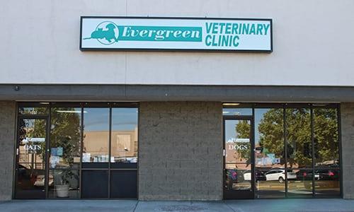 Pet Friendly Evergreen Veterinary Clinic