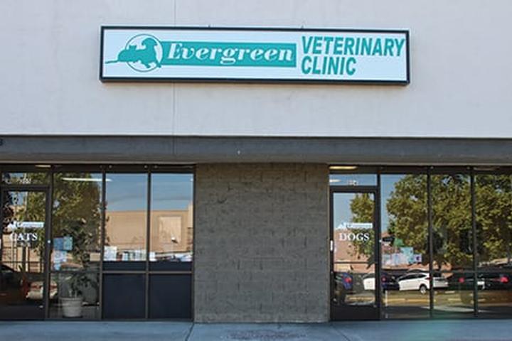 Pet Friendly Evergreen Veterinary Clinic