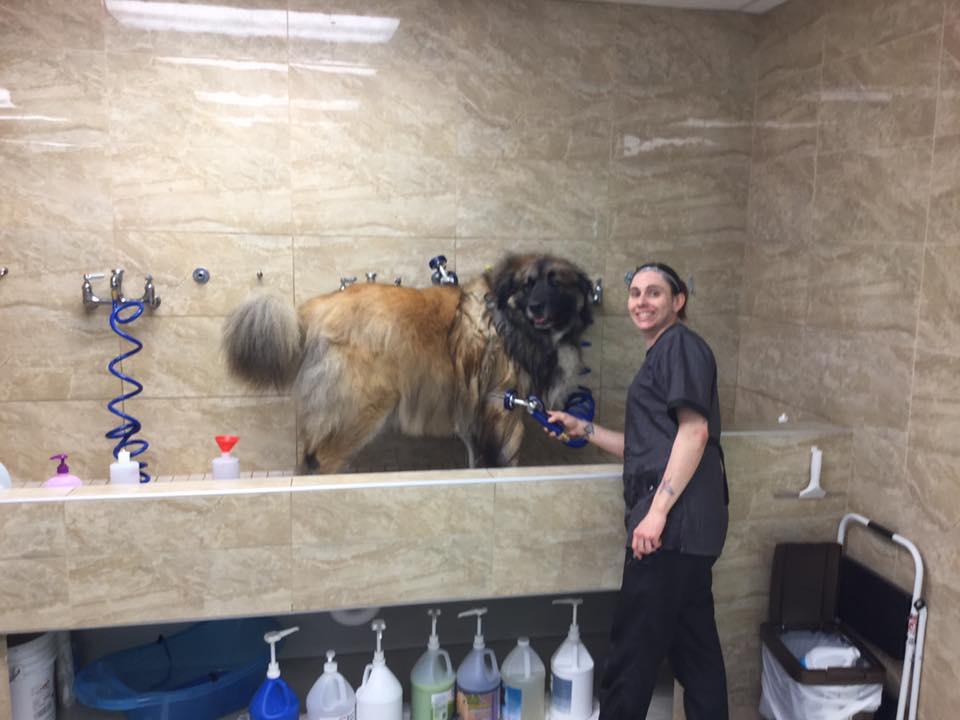Happy Tails Pet Grooming