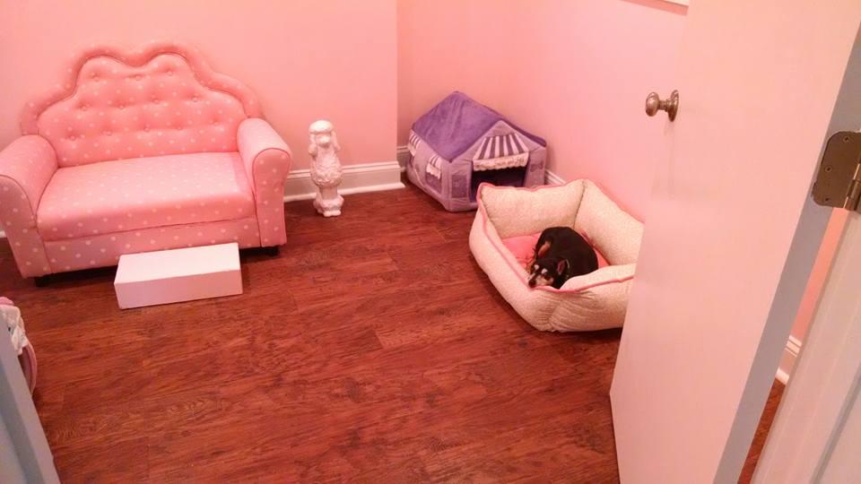 Pet Friendly Putnam Paws Doggy Daycare & Grooming