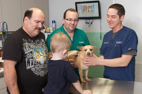 puppy store on dale mabry