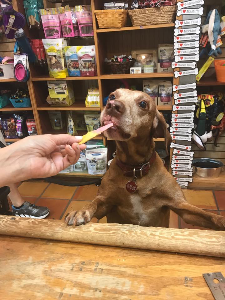 Pet Friendly Three Dog Bakery – Memphis