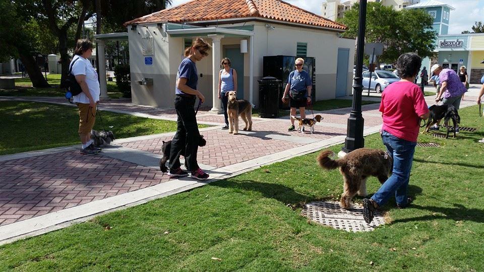 all star training academy