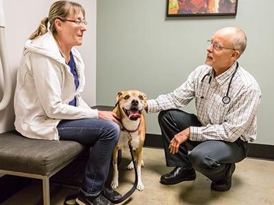Pet Friendly Live Oak Veterinary Hospital