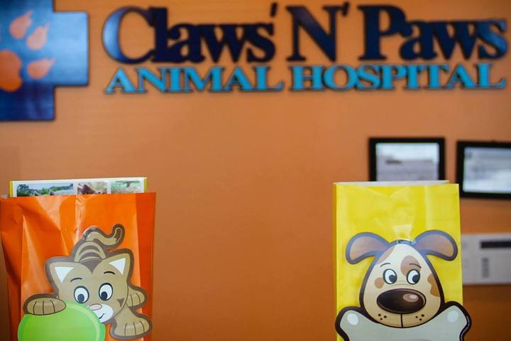 Pet Friendly Claws N Paws Animal Hospital