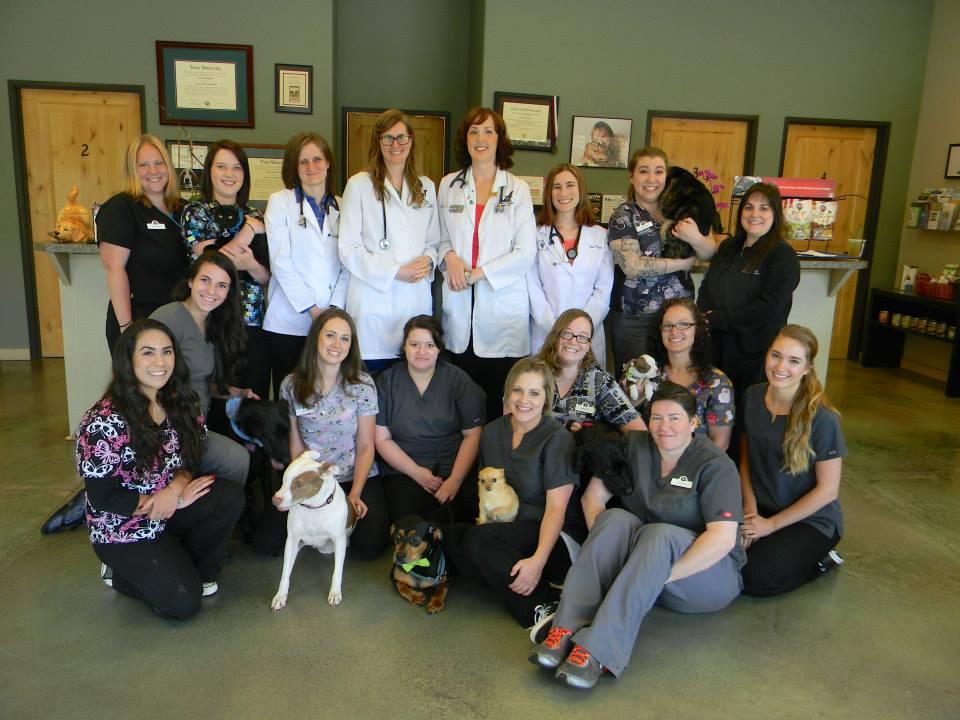 East Padden Animal Hospital East Padden Animal Hospital
