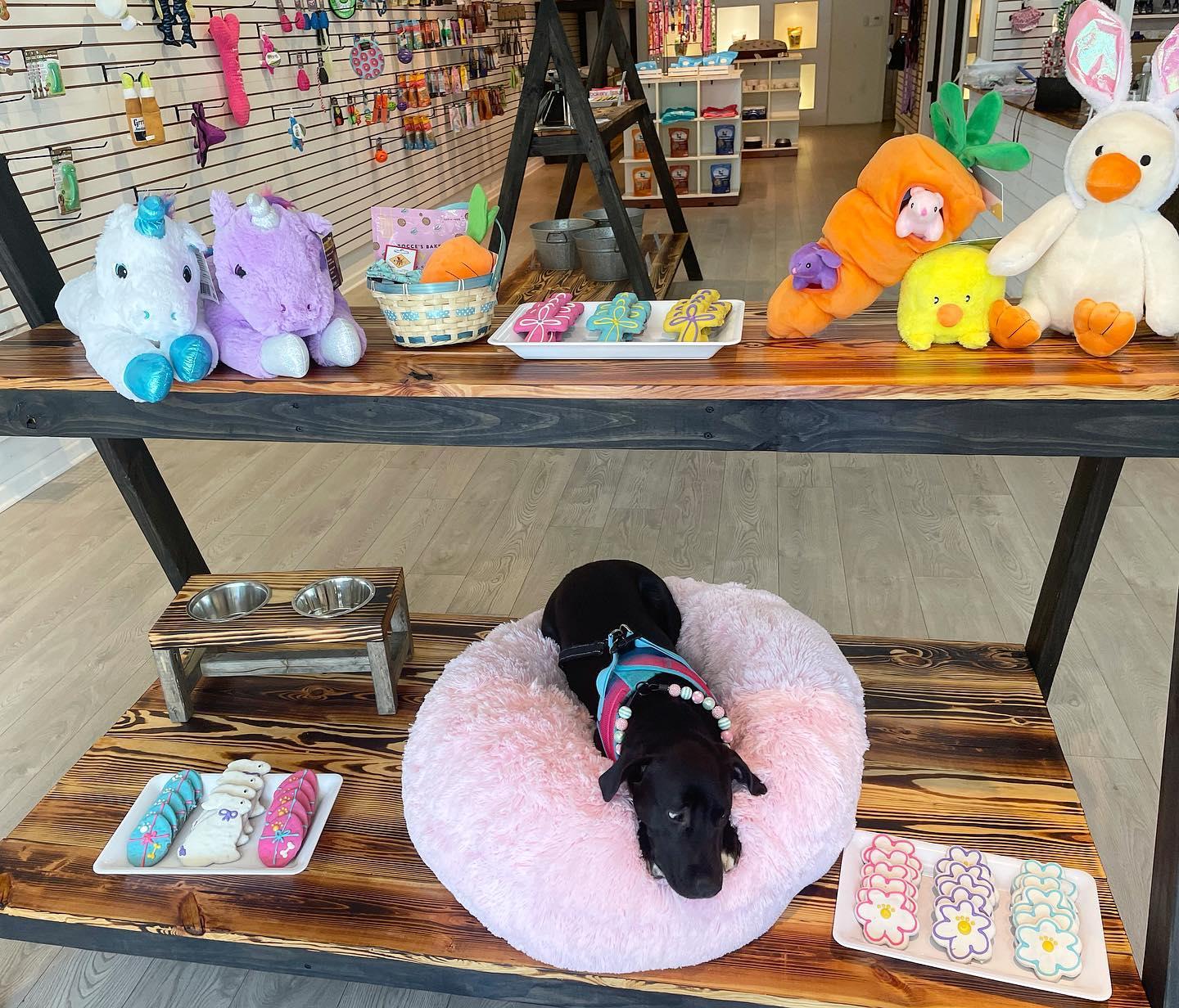 Pet Friendly Brooklyn's Dog Boutique