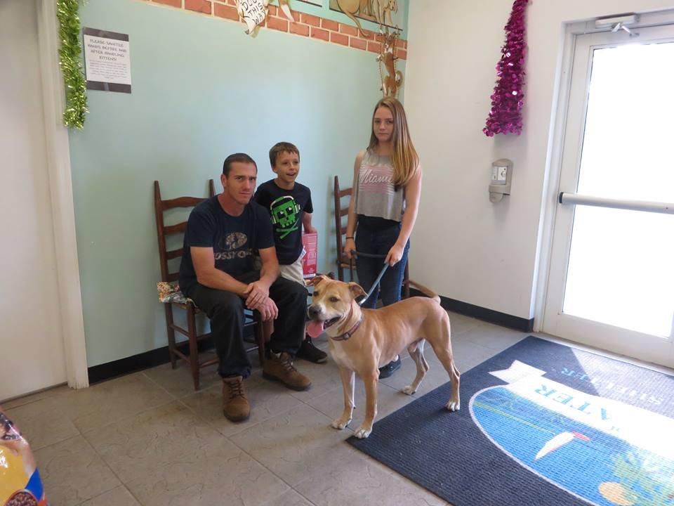 Edgewater Animal Shelter