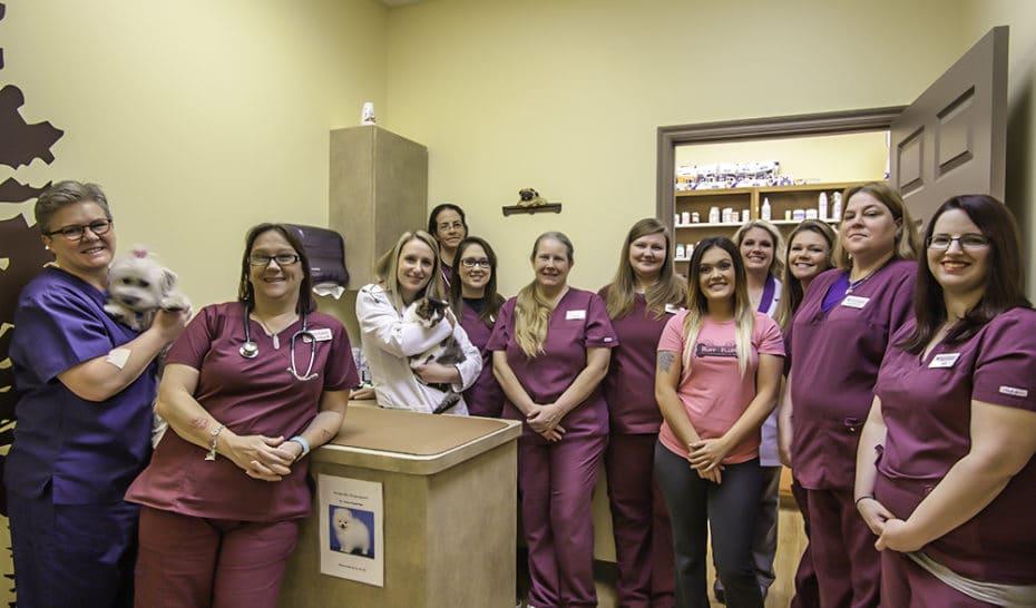 Kindness Animal Hospital