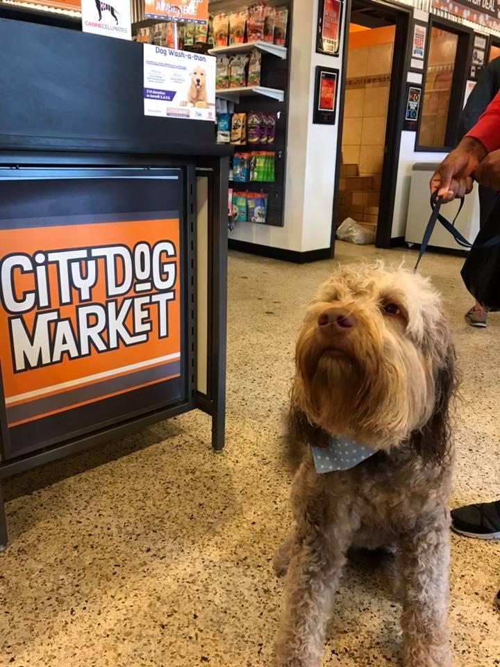 City dog market hours sales