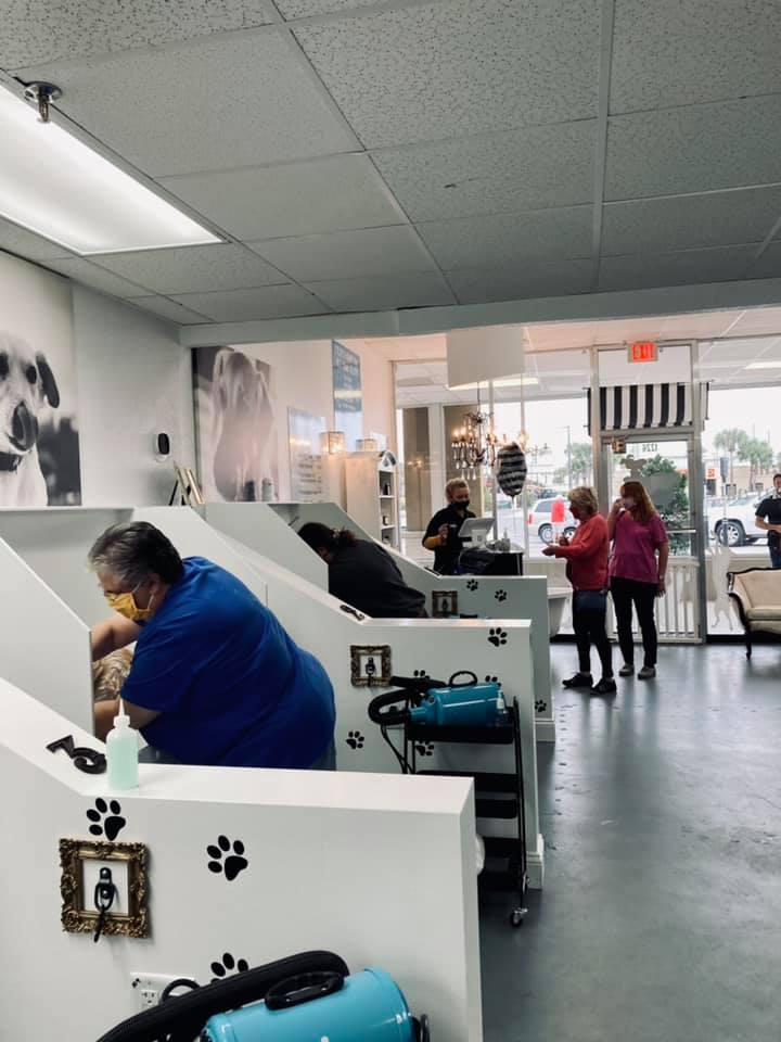 Salty Dogs Diy Dog Wash