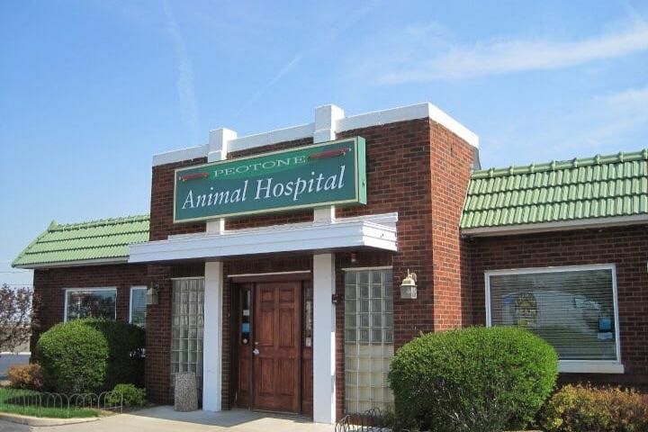 Pet Friendly Peotone Animal Hospital