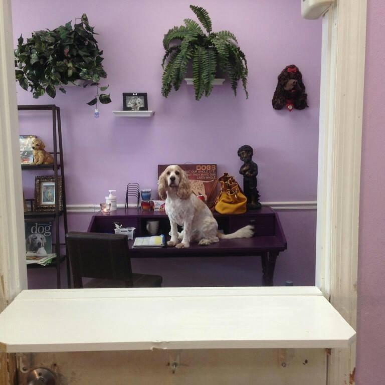 yuppy puppy grooming