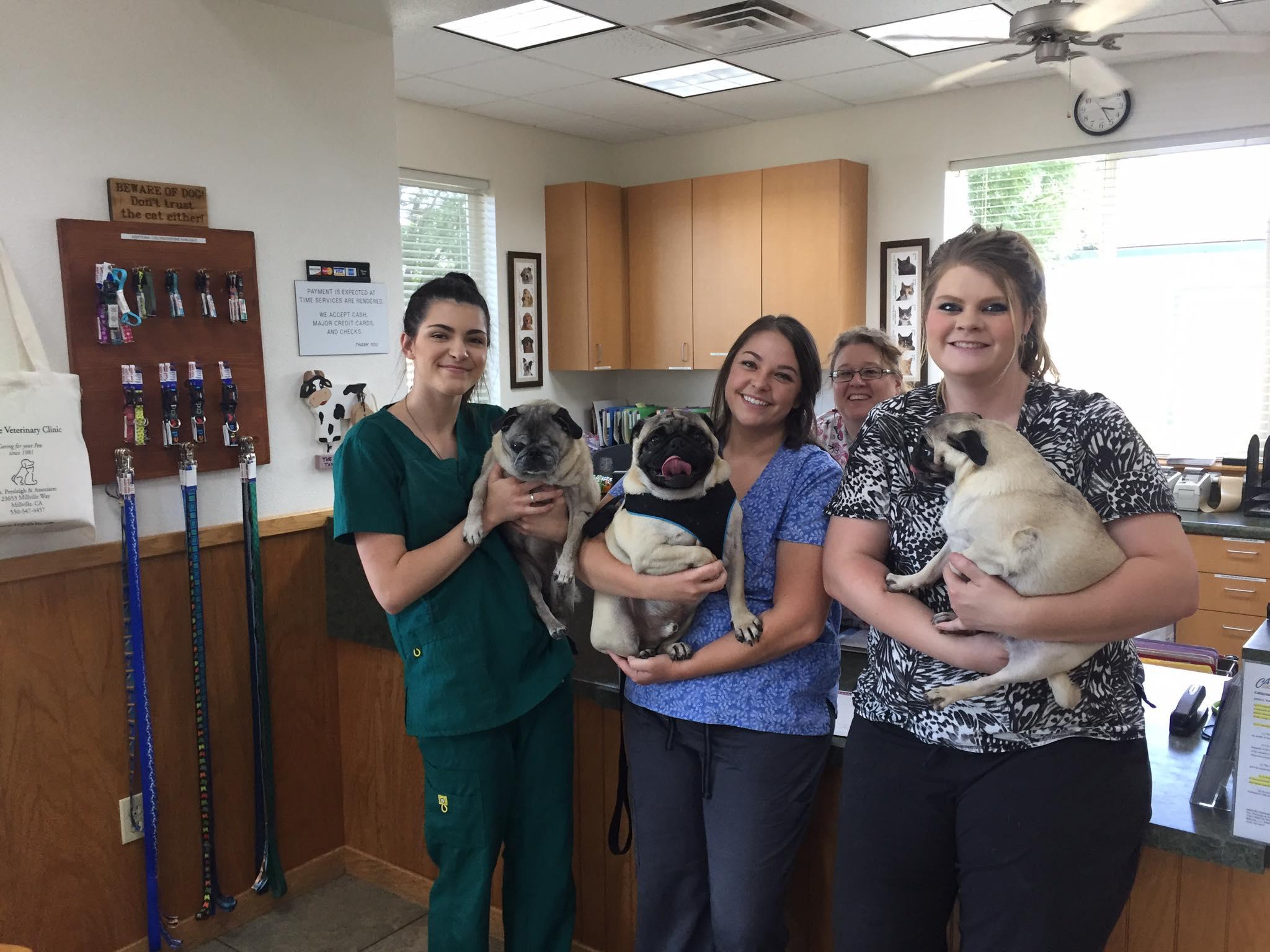 Pet Friendly Millville Veterinary Clinic