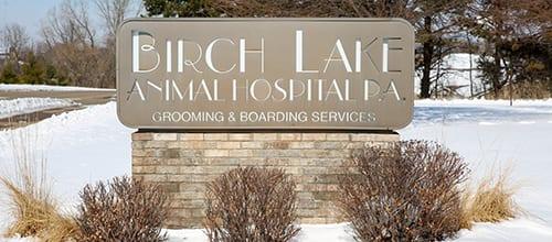 Pet Friendly Birch Lake Animal Hospital