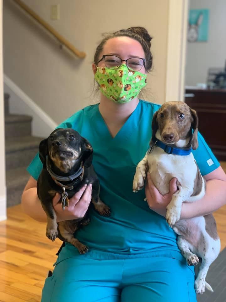 Pet Friendly Haley Veterinary Practice