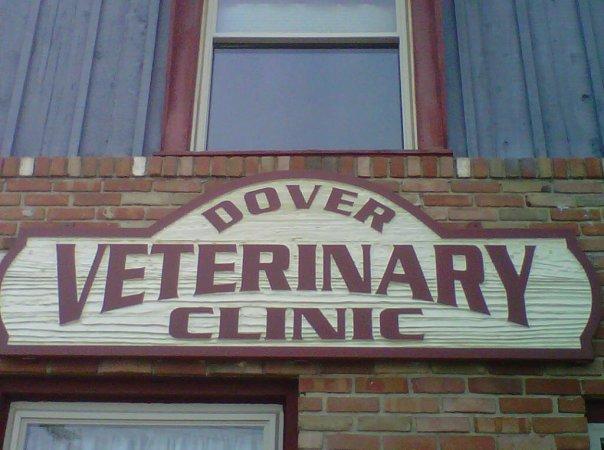 Pet Friendly Dover Veterinary Clinic