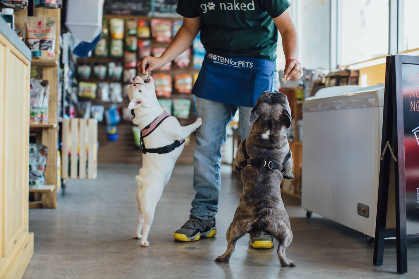 Pet Friendly Protein for Pets Canyon Country