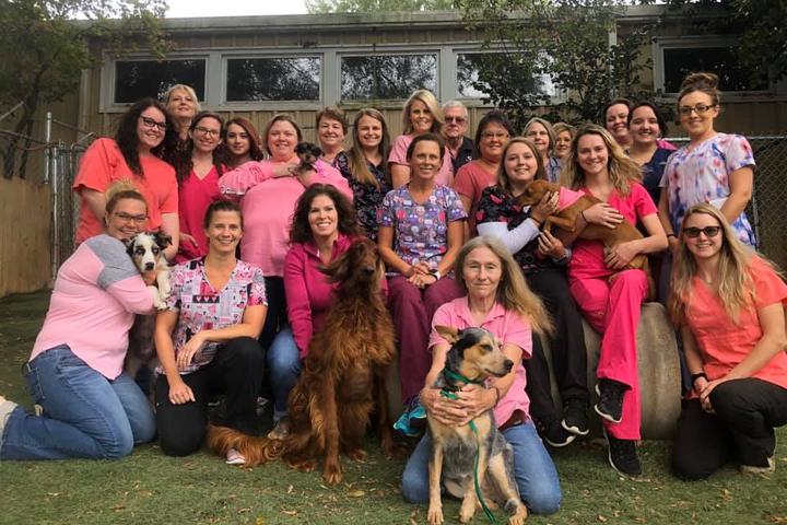 Directory of Veterinarians in Ringgold, VA - BringFido Directory of Veterinarians in Ringgold, VA - BringFido