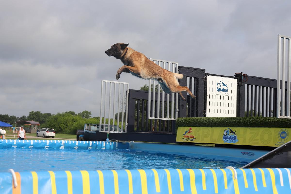 K9 Splash Zone