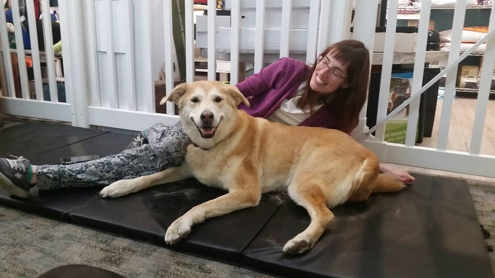 Pet Friendly Compassionate Canine Massage