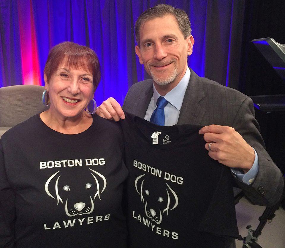 Pet Friendly Boston Dog Lawyers