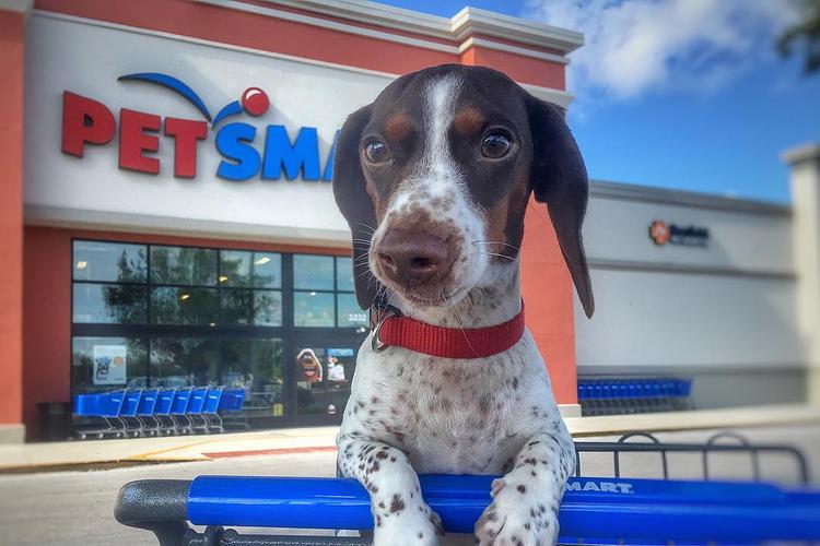 PetSmart