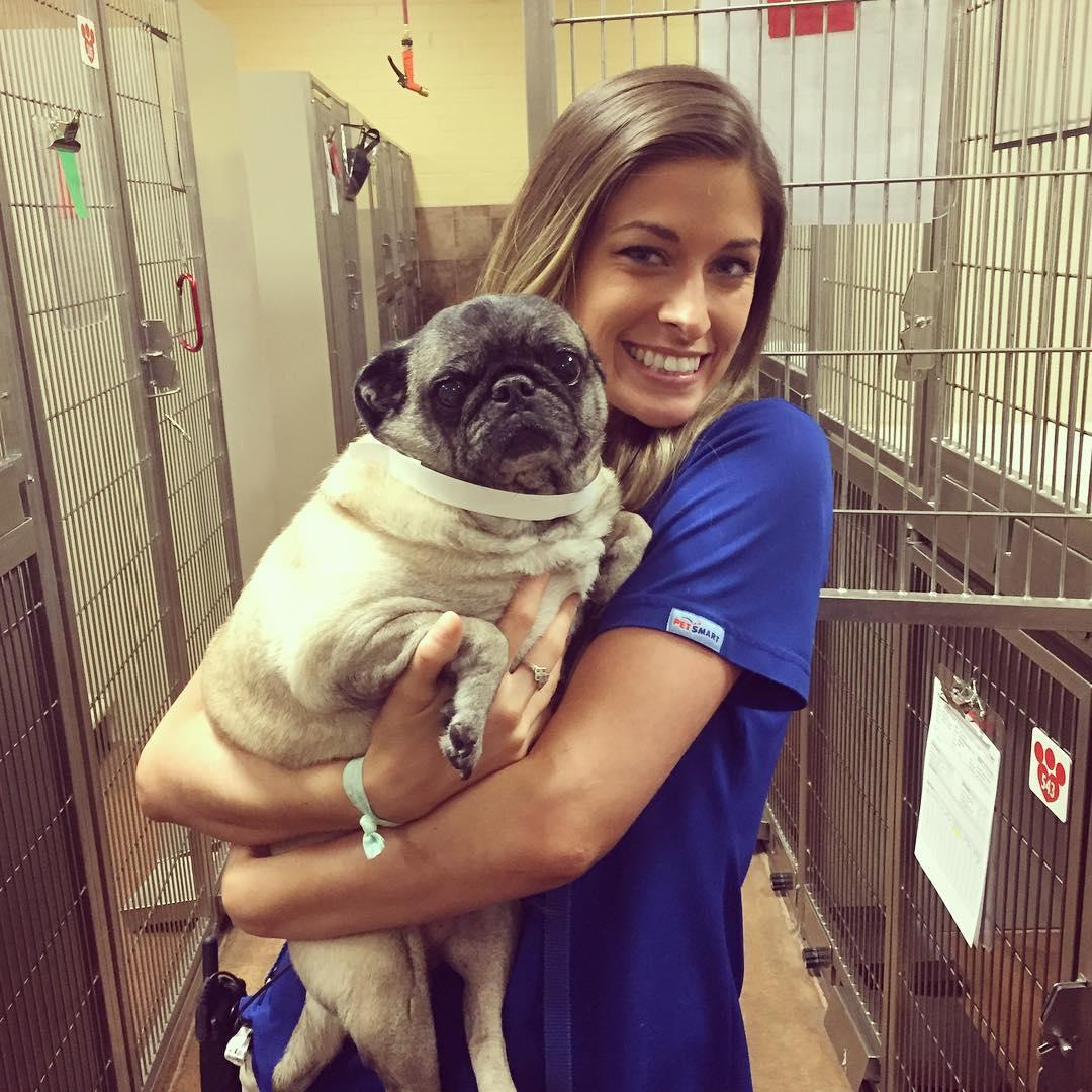 petsmart boarding near me