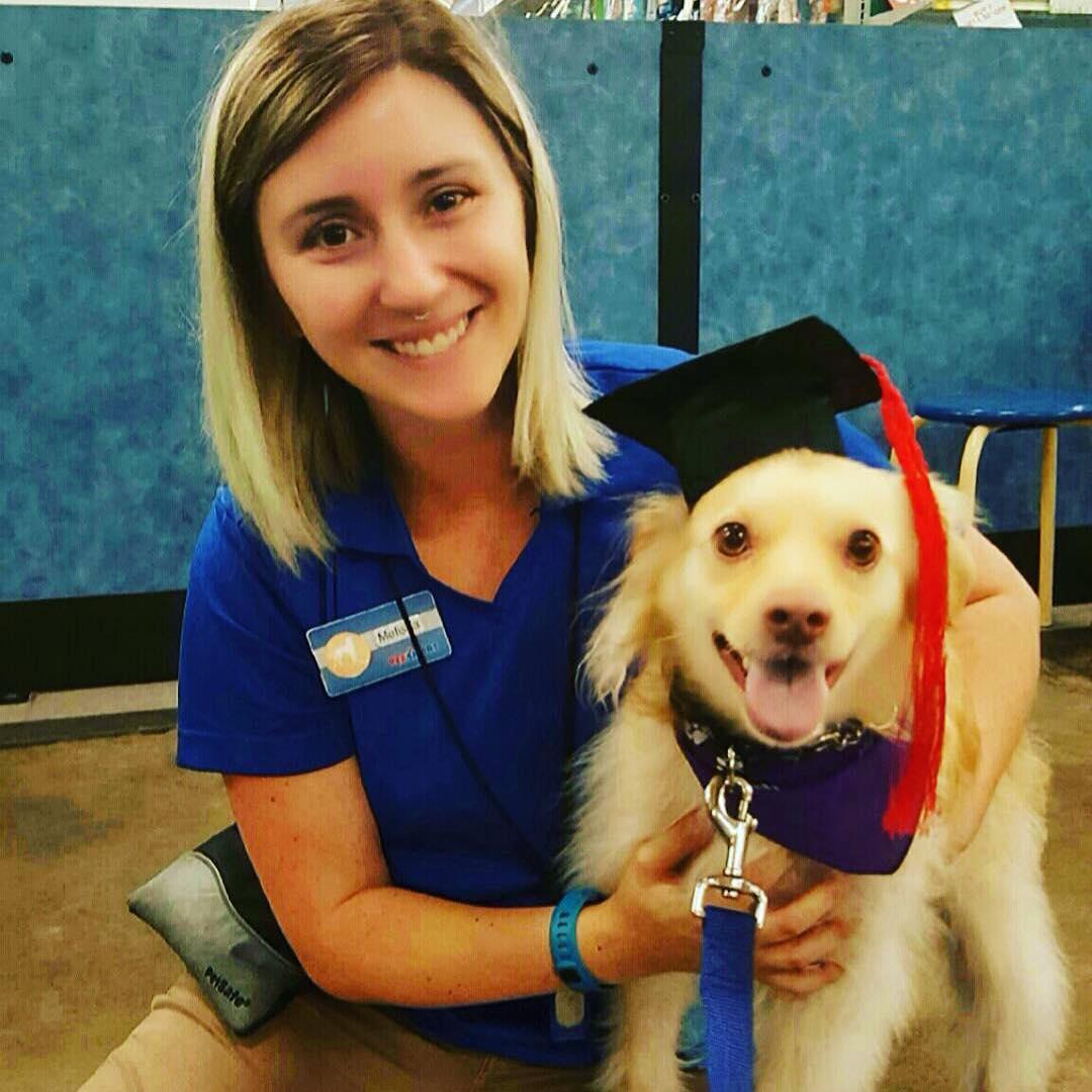 Petsmart store training classes