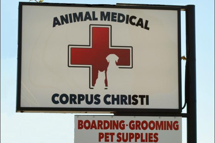Pet Friendly Corpus Christi Animal Medical