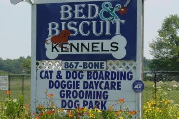 Pet Friendly Bed & Biscuit Kennels